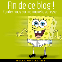 fin de mon blog